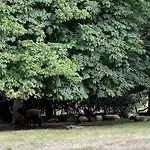 Domaine Du Faure Bed & Breakfast 3*