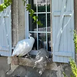 Domaine Du Faure Bed & Breakfast 3*