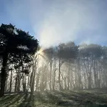 Bed & Breakfast Domaine Du Faure 3*