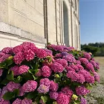 Domaine Du Faure