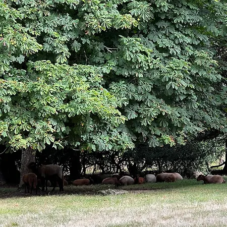 Domaine Du Faure Frühstückspension 3*