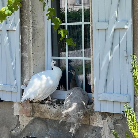 Domaine Du Faure Couette-café 3*