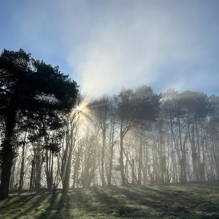 فندق مبيت وإفطار Domaine Du Faure 3*