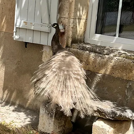 Frühstückspension Domaine Du Faure Chadurie