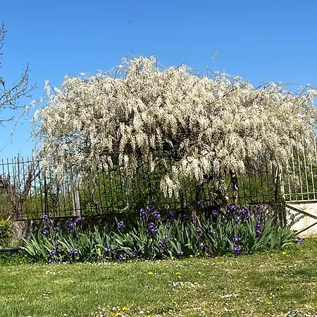 Domaine Du Faure Chadurie