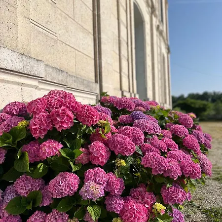 Domaine Du Faure