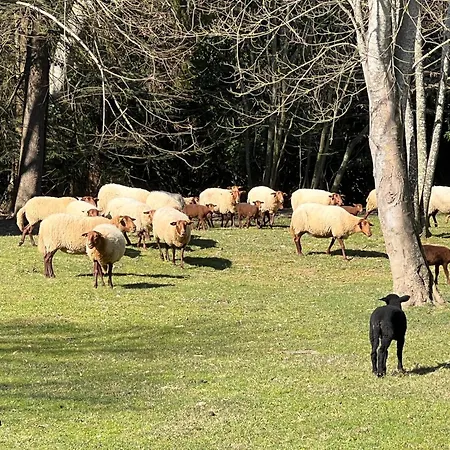 Frühstückspension Domaine Du Faure 3*